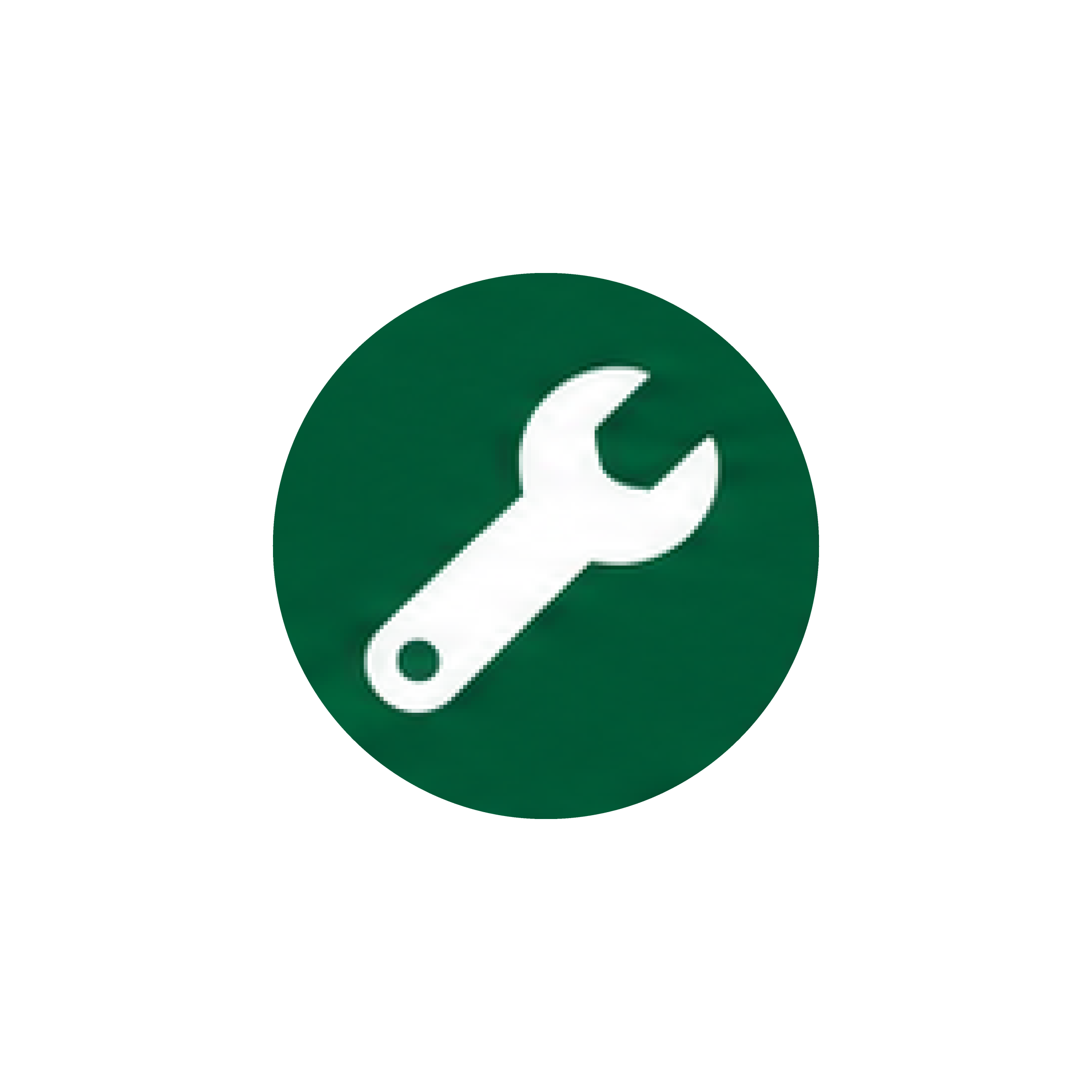 Expert technicians